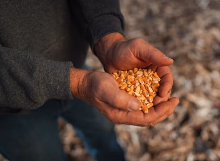 Real Estate Investment